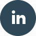 linkedin-icon